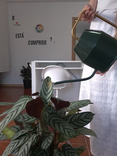 Academia Superpoderes